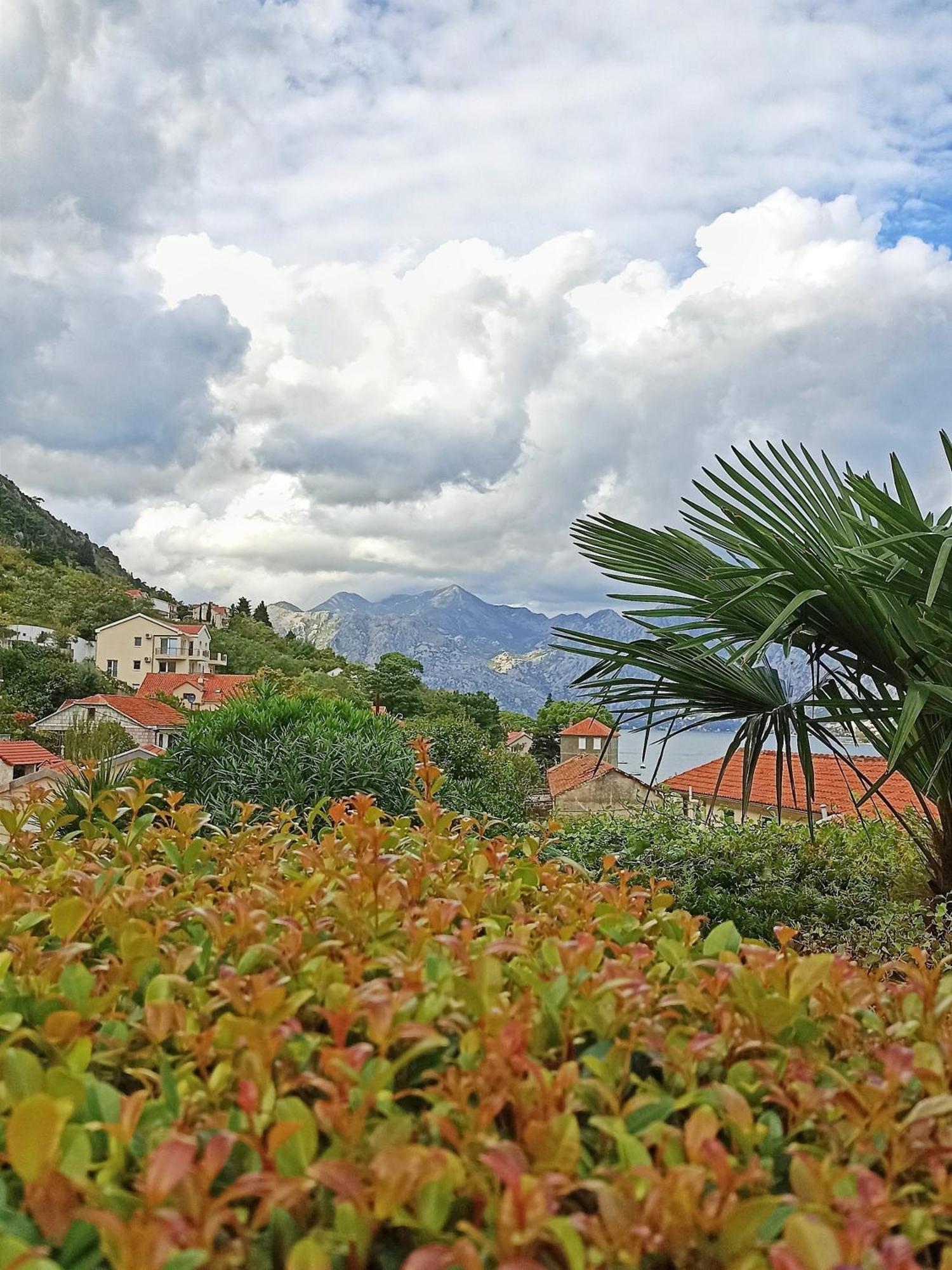 Apartment Kotor Dış mekan fotoğraf